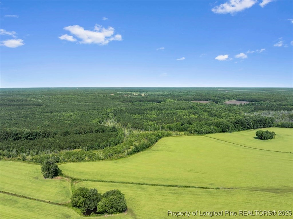 Tbd Rich Walker Road Wade, NC 28395 - Photo 13 of 18 a view of an outdoor space and a yard