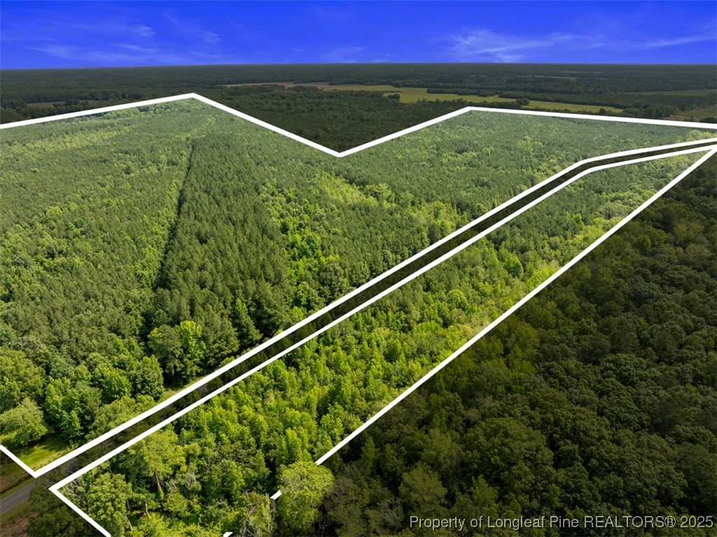 Tbd Rich Walker Road Wade, NC 28395 - Photo 3 of 18 a view of a tennis court
