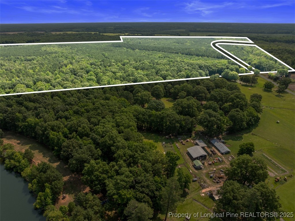 Tbd Rich Walker Road Wade, NC 28395 - Photo 4 of 18 a view of a yard