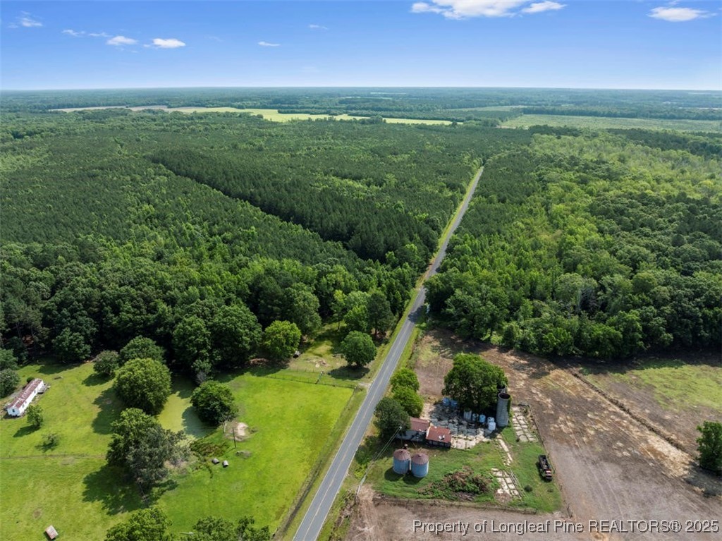 Tbd Rich Walker Road Wade, NC 28395 - Photo 6 of 18 a view of a lush green outdoor space with a lake view