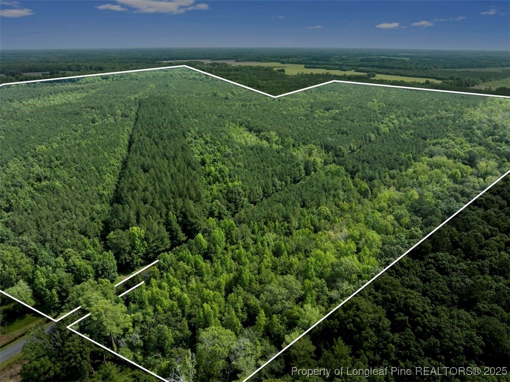 Tbd Rich Walker Road Wade, NC 28395 - Photo 7 of 18 a view of a green field with a field
