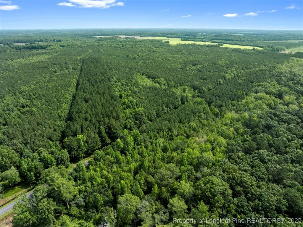 Tbd Rich Walker Road Wade, NC 28395 - Photo 8 of 18 a view of an outdoor space and a yard