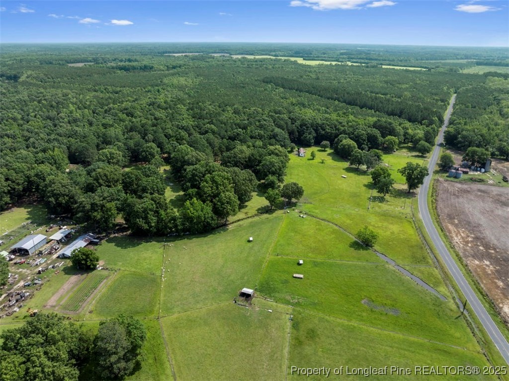 Tbd Rich Walker Road Wade, NC 28395 - Photo 9 of 18