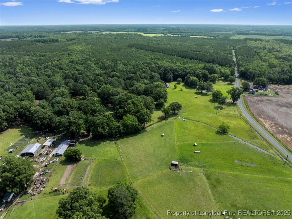 Tbd Rich Walker Road Wade, NC 28395 - Photo 10 of 18 a view of a city