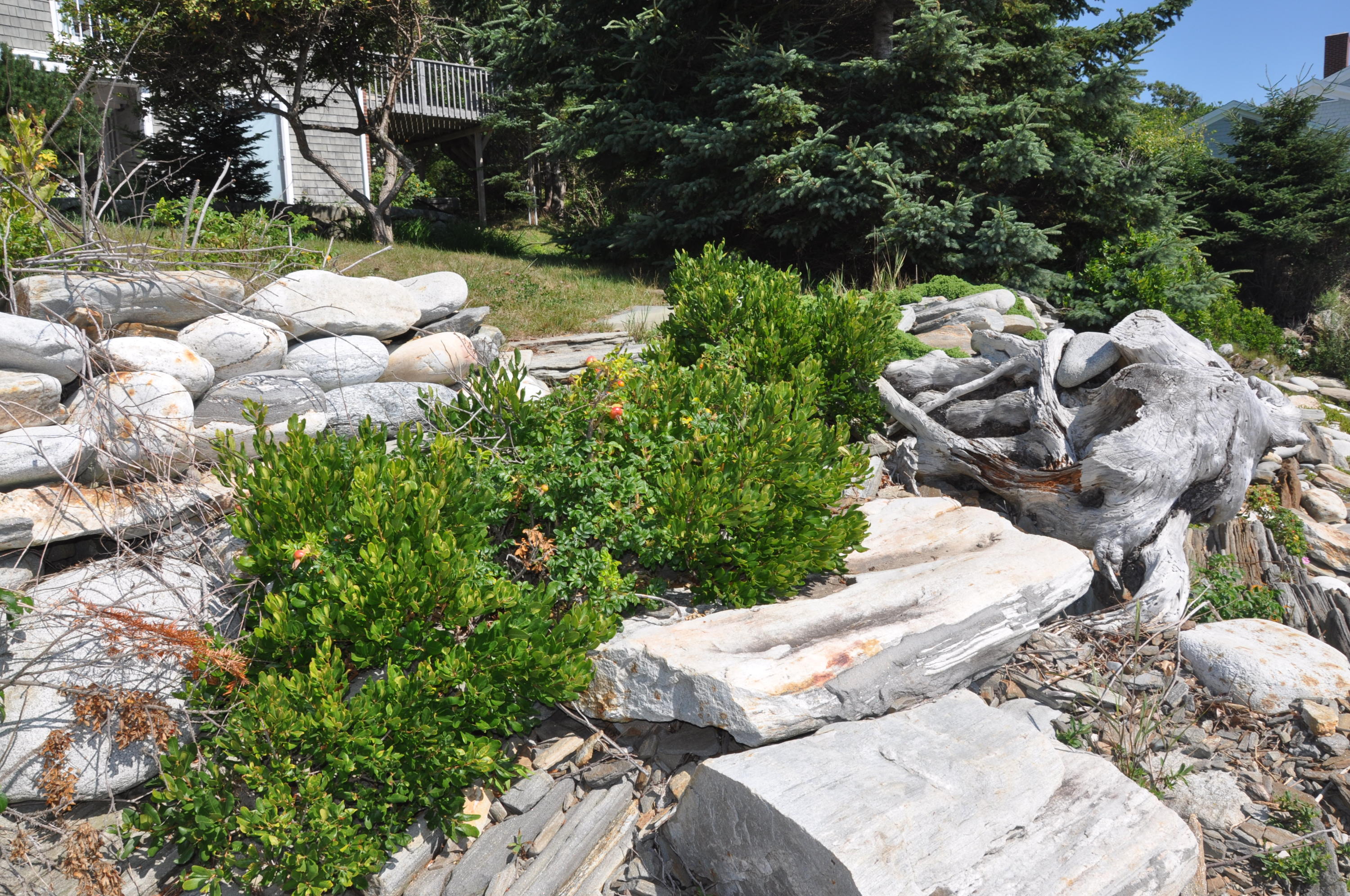 269 Highway 32 Chamberlain, ME 04541 - Photo 11 of 51 540DB4FE-5F7E-4F39-9514-B260481680BC