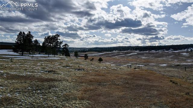 297 High Pasture Road Florissant, CO 80816 - Photo 9 of 23 Open meadow
