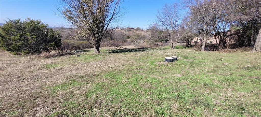 5543 Upper Denton Road Weatherford, TX 76085 - Photo 6 of 23 a view of yard with tree