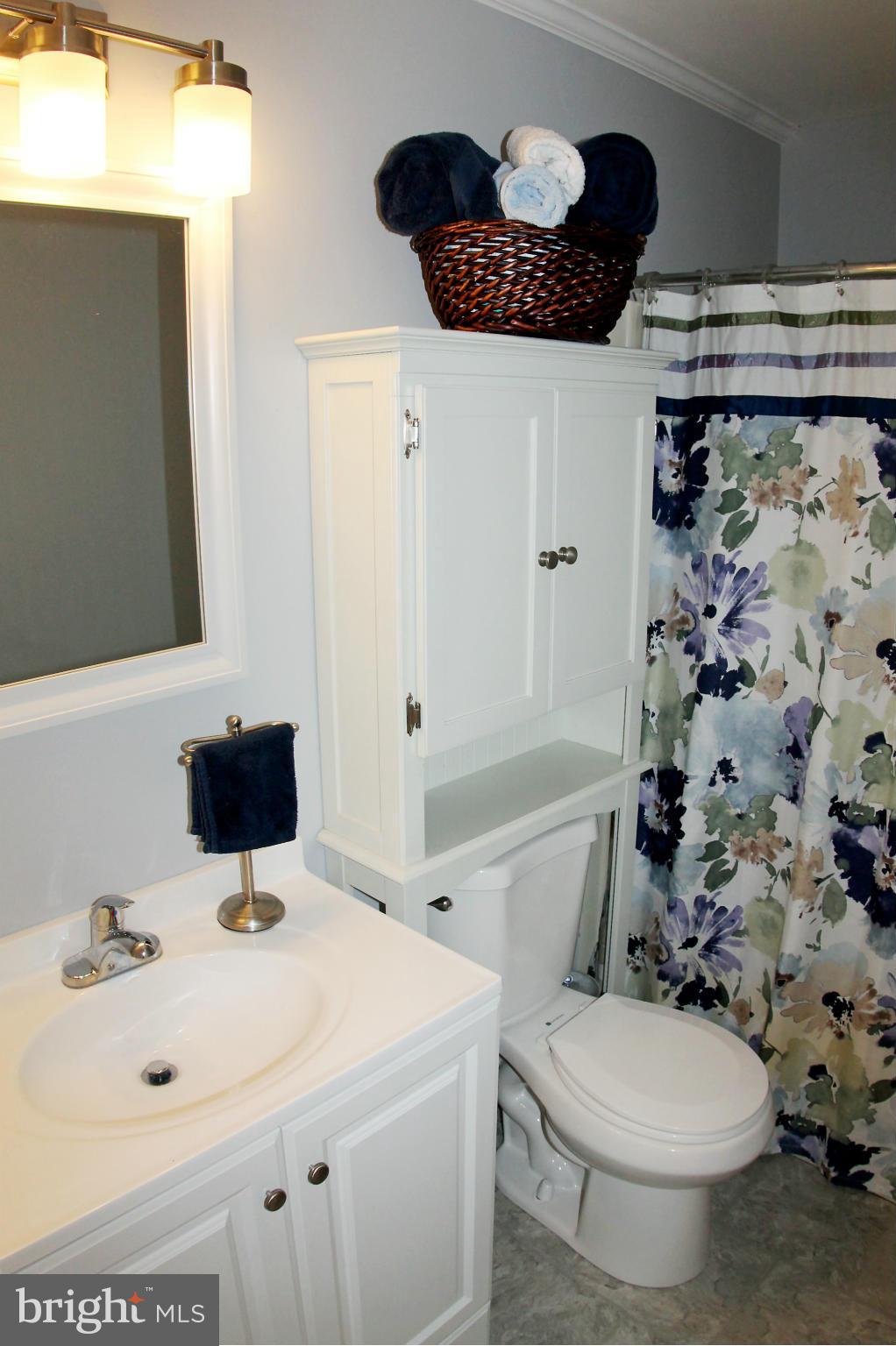 26722 Ridge Road Damascus, MD 20872 - Photo 23 of 30 a bathroom with a sink a toilet and shower curtain