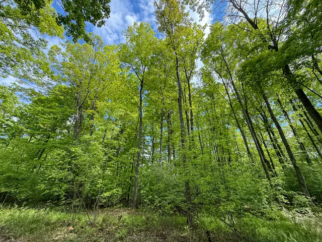 $375,000 | 80 East 24th Street, Reed City, MI 49677