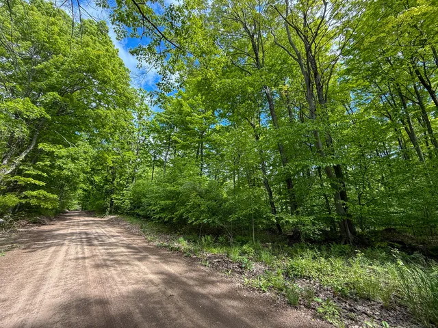 $375,000 | 80 East 24th Street, Reed City, MI 49677