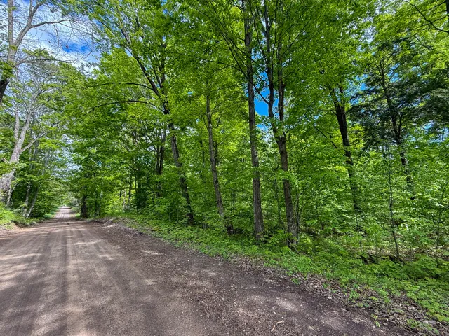 $375,000 | 80 East 24th Street, Reed City, MI 49677