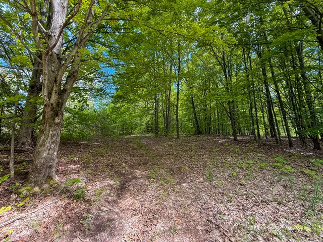 $375,000 | 80 East 24th Street, Reed City, MI 49677