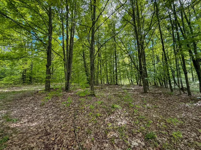 $375,000 | 80 East 24th Street, Reed City, MI 49677