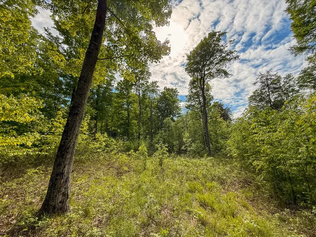 $375,000 | 80 East 24th Street, Reed City, MI 49677