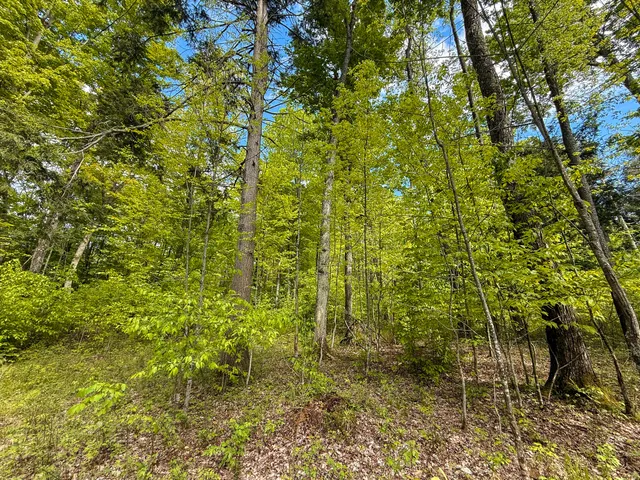 $375,000 | 80 East 24th Street, Reed City, MI 49677