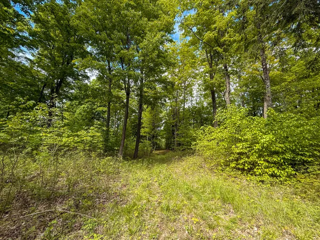 $375,000 | 80 East 24th Street, Reed City, MI 49677