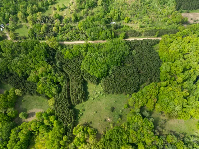 $375,000 | 80 East 24th Street, Reed City, MI 49677