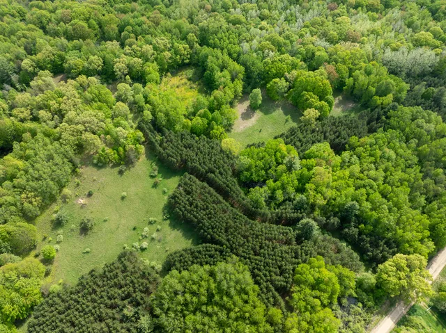 $375,000 | 80 East 24th Street, Reed City, MI 49677