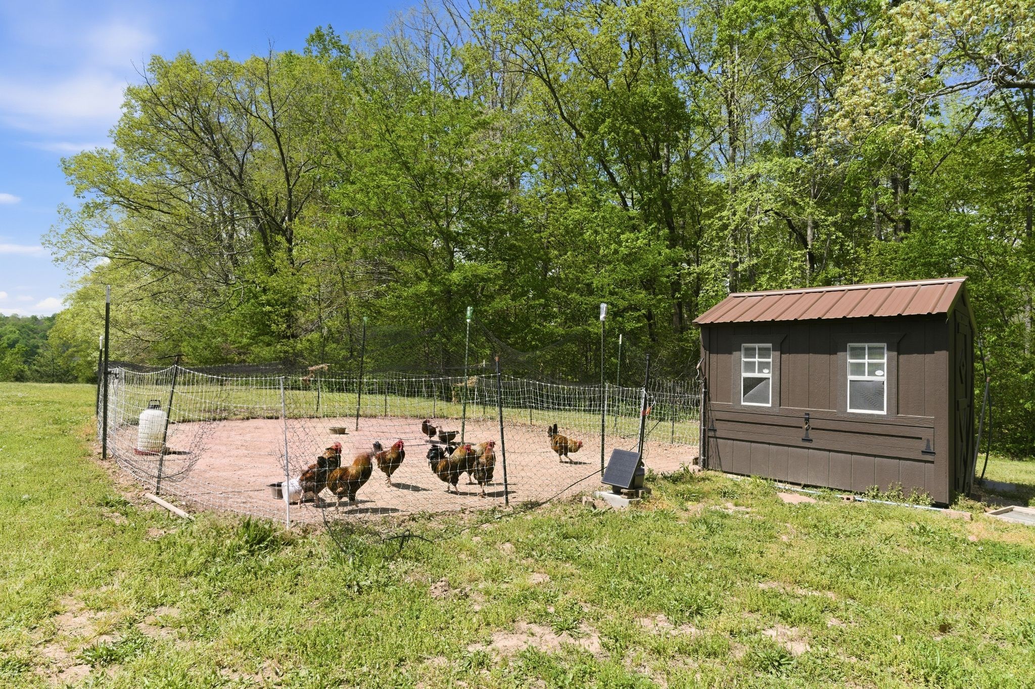 985 Furnace Hollow Road Dickson, TN 37055 - Photo 56 of 57