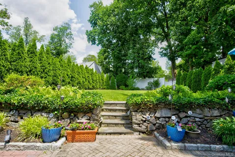a view of a garden with plants and large trees