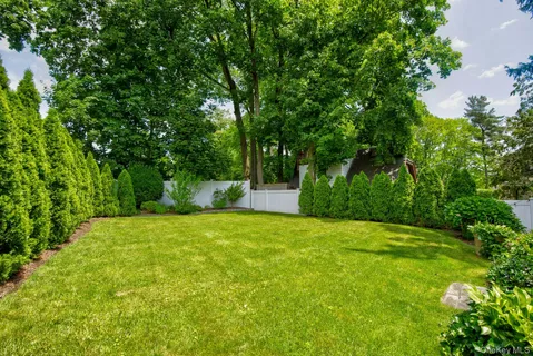 a view of a yard with a trees