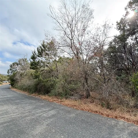a view of a forest with trees in front of the house