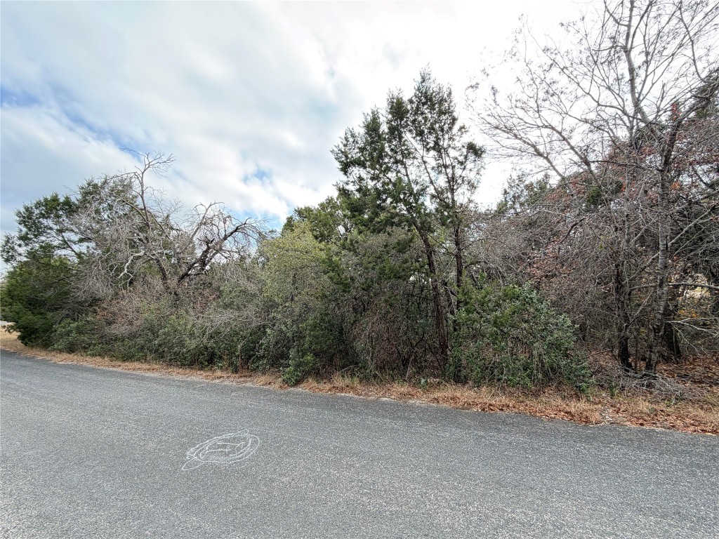 14701 Old Anderson Mill Road Leander, TX 78641 - Photo 3 of 9 a view of a field with trees in background
