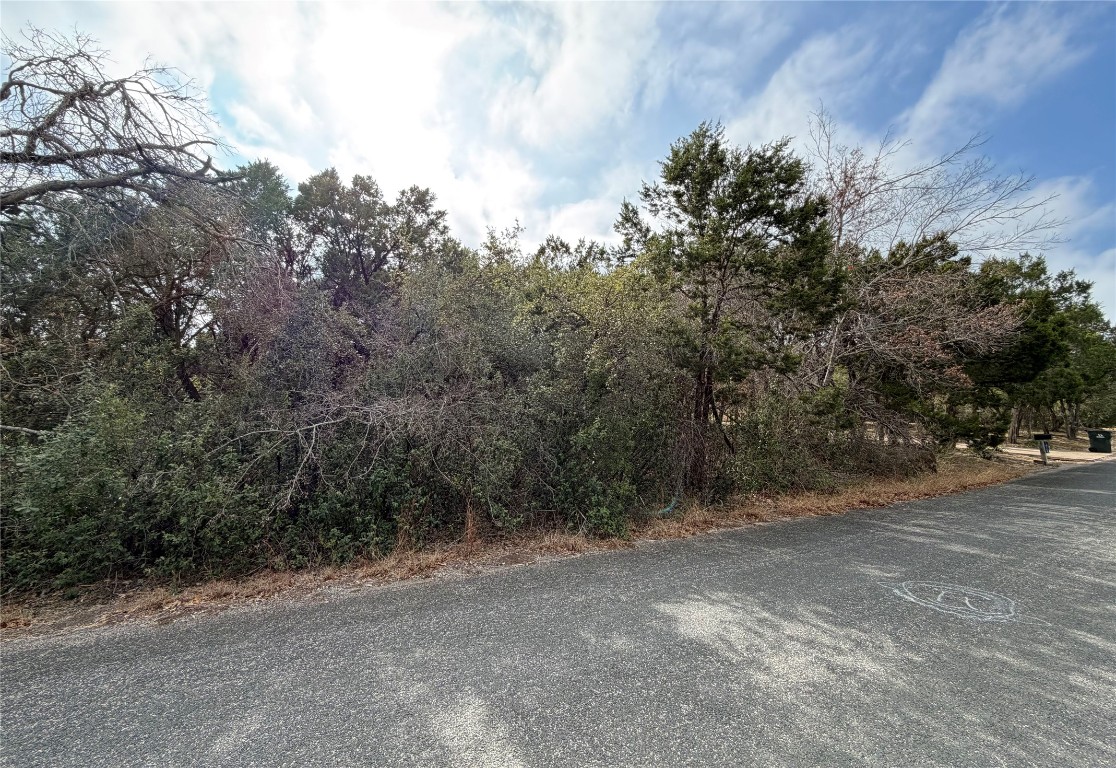 14701 Old Anderson Mill Road Leander, TX 78641 - Photo 4 of 9 a view of a forest with trees in the background