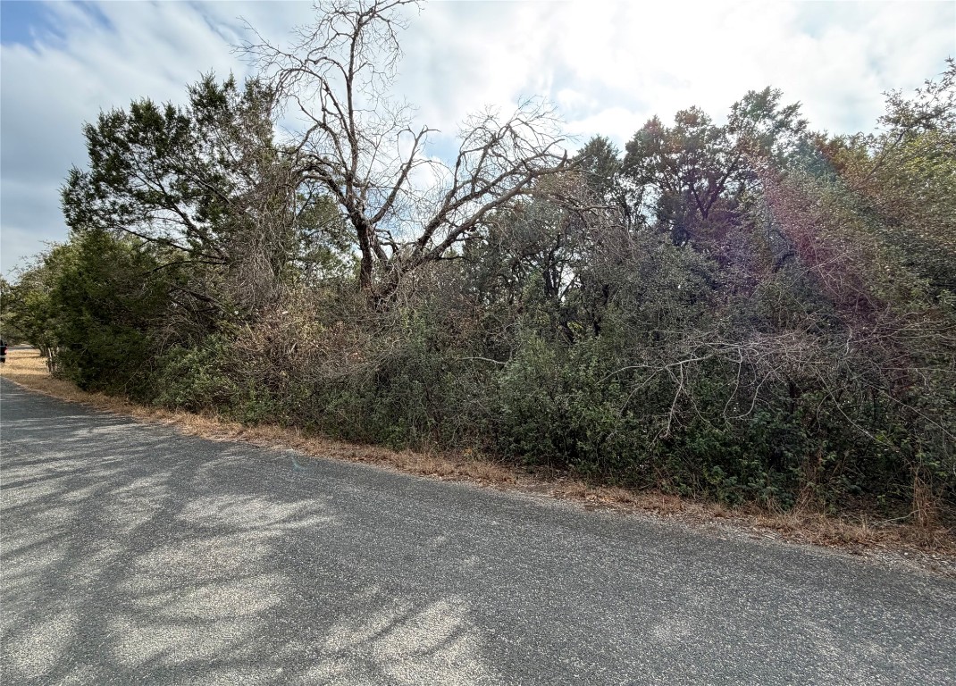 14701 Old Anderson Mill Road Leander, TX 78641 - Photo 5 of 9 a view of a forest with trees
