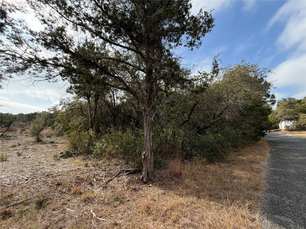 14701 Old Anderson Mill Road Leander, TX 78641 - Photo 6 of 9 a big yard with lots of green space