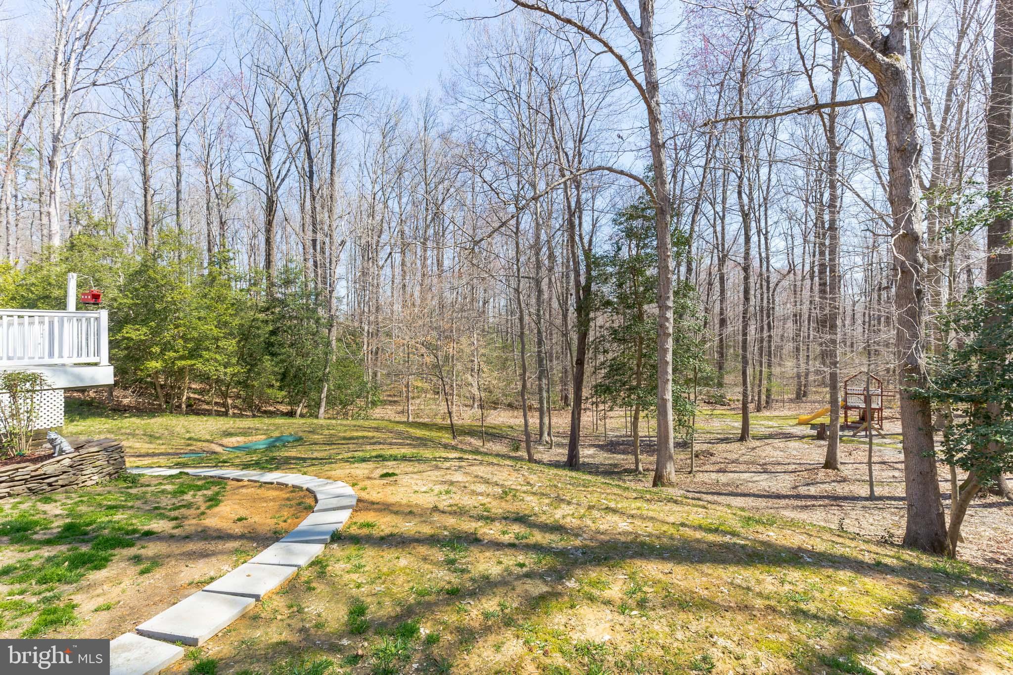 10311 3 Doctors Road Dunkirk, MD 20754 - Photo 31 of 31 Beautiful 3 Acre Lot