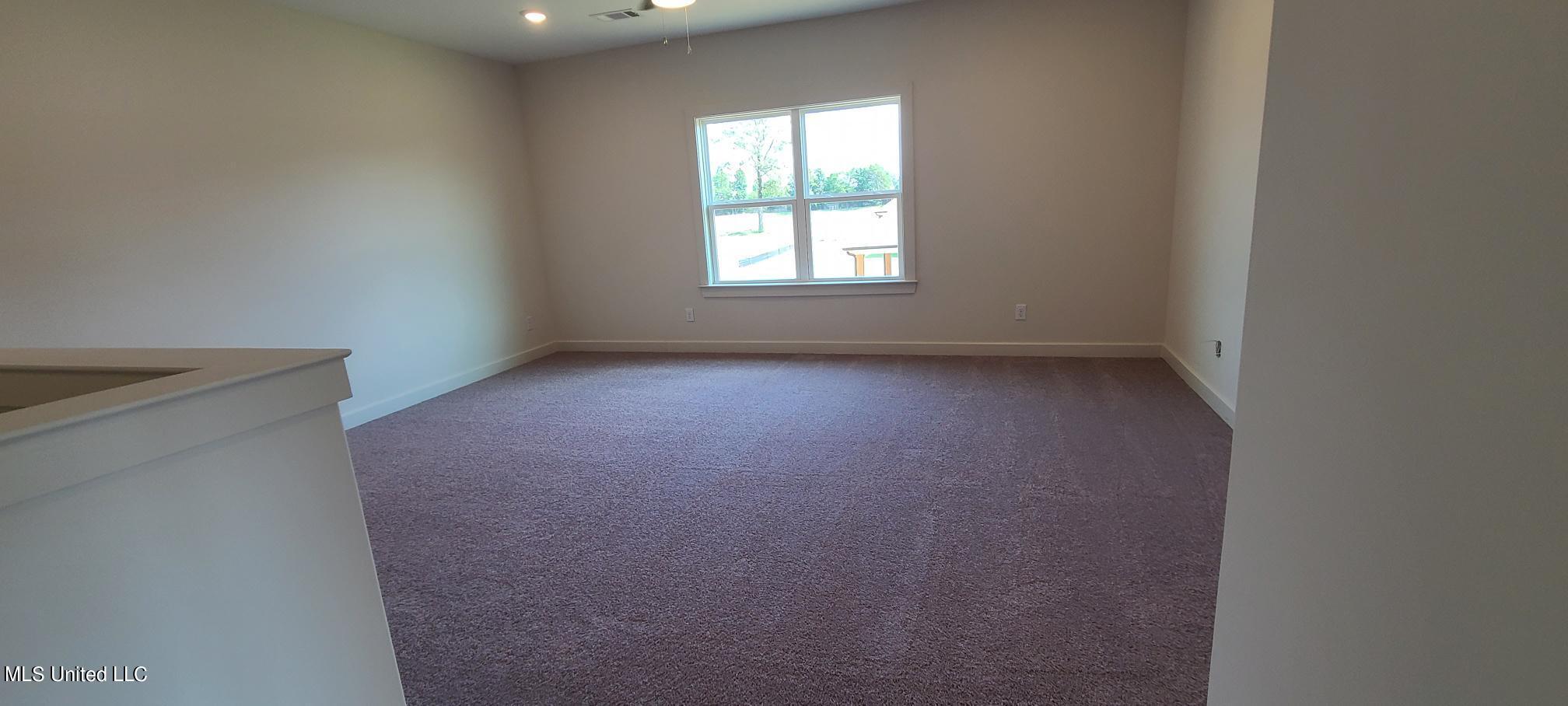 392 Ruskin Loop Hernando, MS 38632 - Photo 14 of 24 20220621_154916