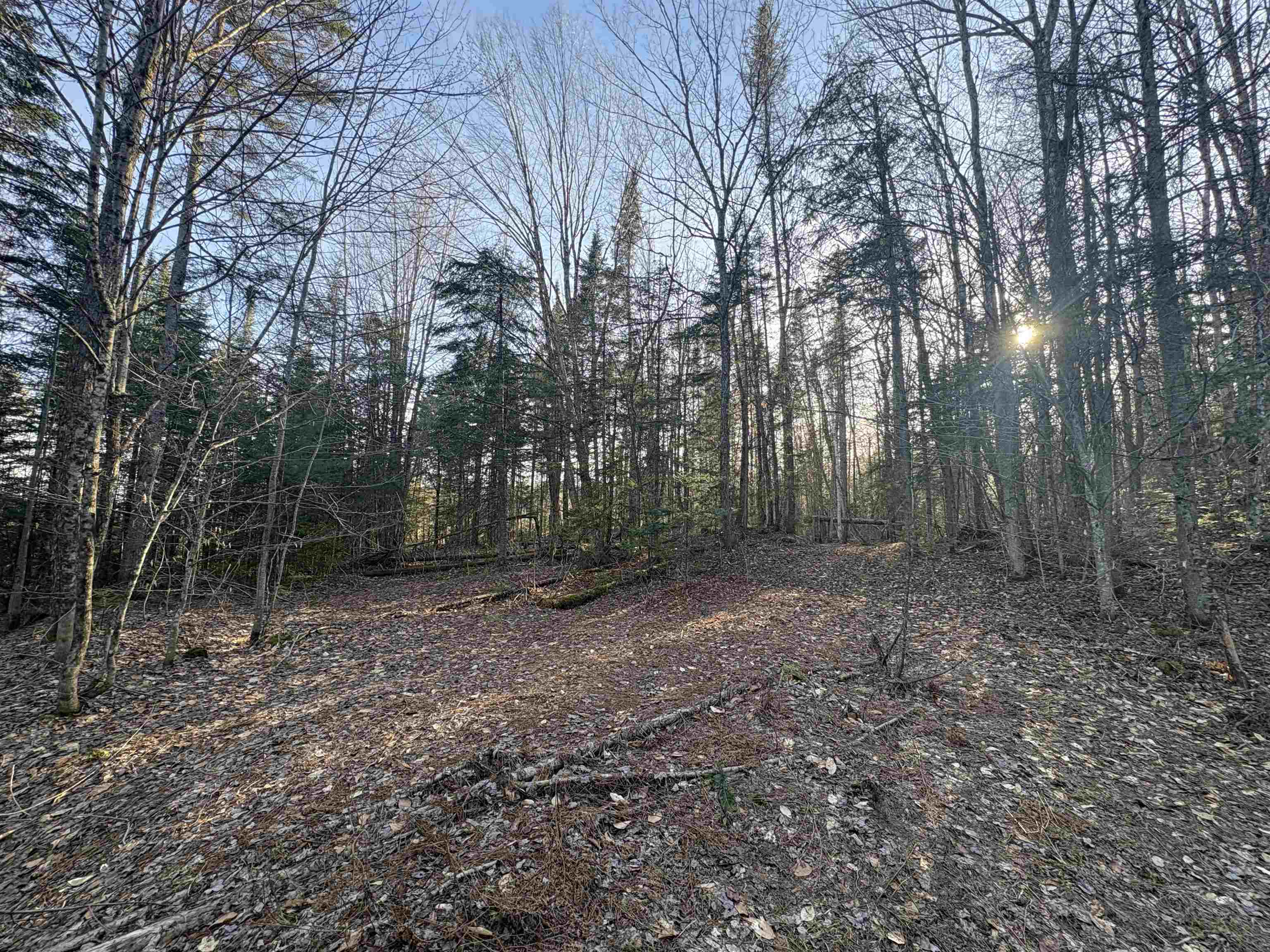 208 Drake Pl Road Sheffield, VT 05866 - Photo 19 of 27