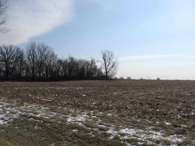 356 Stewart Street Ridgeway, OH 43345 - Photo 1 of 9