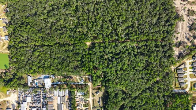 a picture of flowers