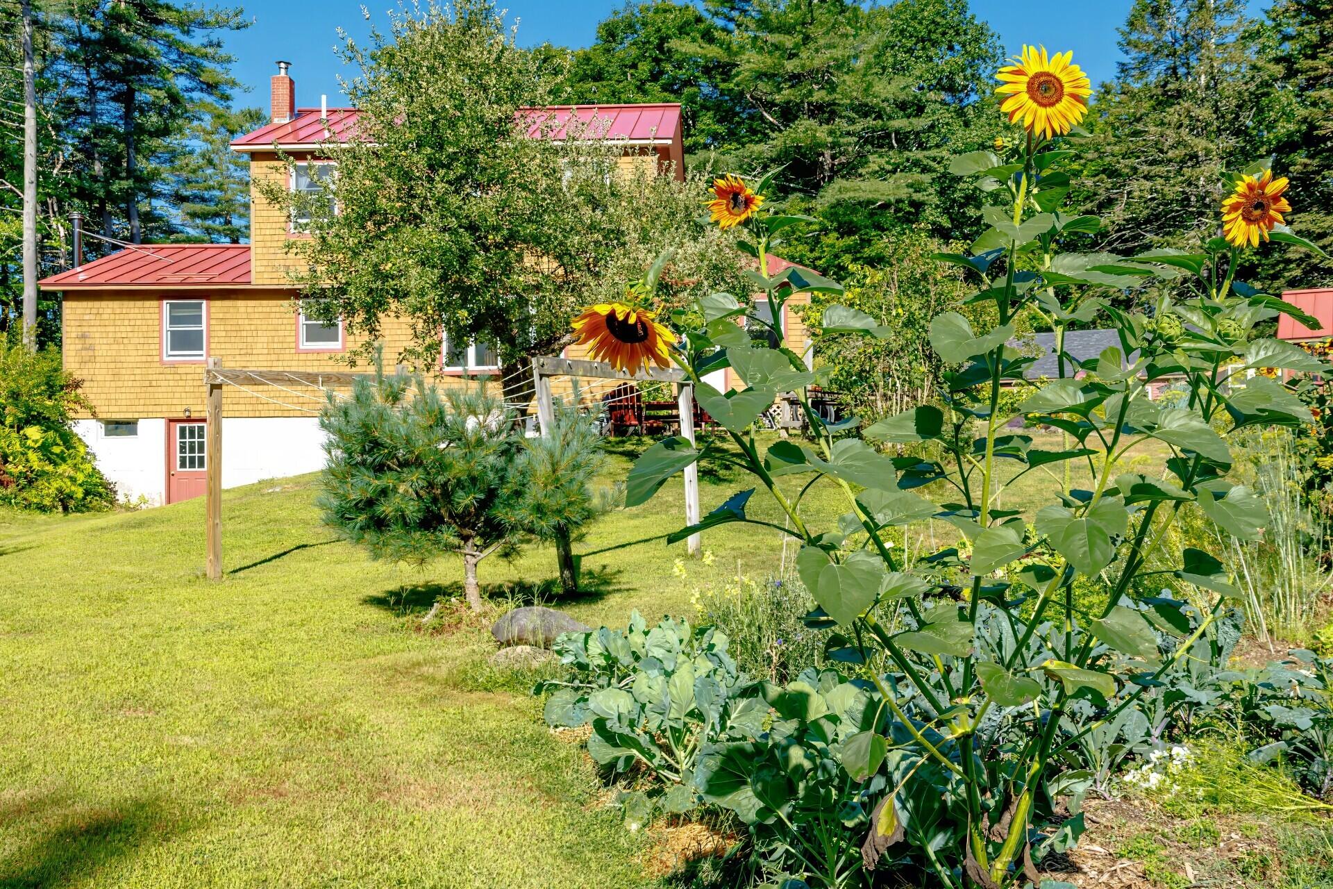 9 Coles Corner Road Winterport, ME 04496 - Photo 51 of 55 f8245d00-3a4e-46a9-a8fd-13831e786e20