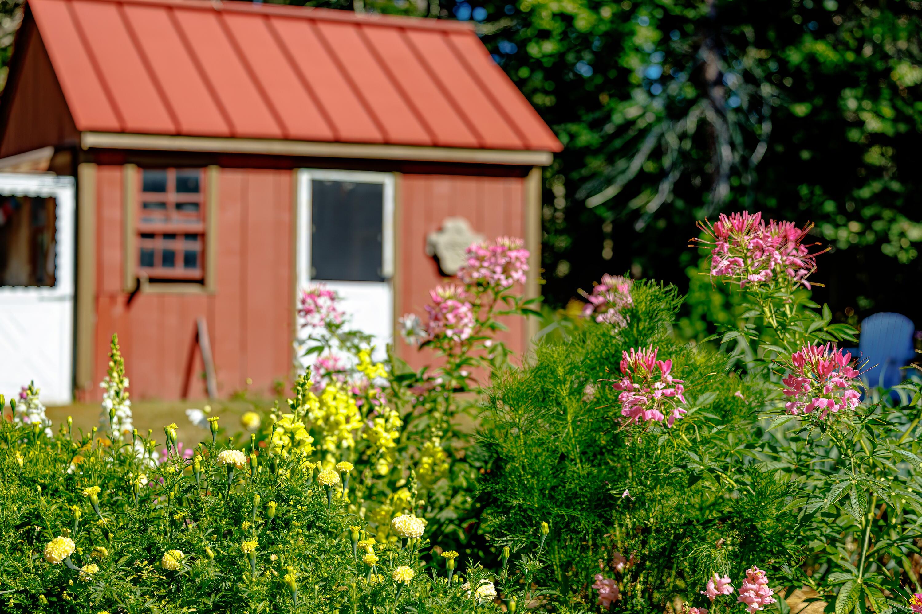 9 Coles Corner Road Winterport, ME 04496 - Photo 6 of 55 74-9 Coles Corner Road-DTP