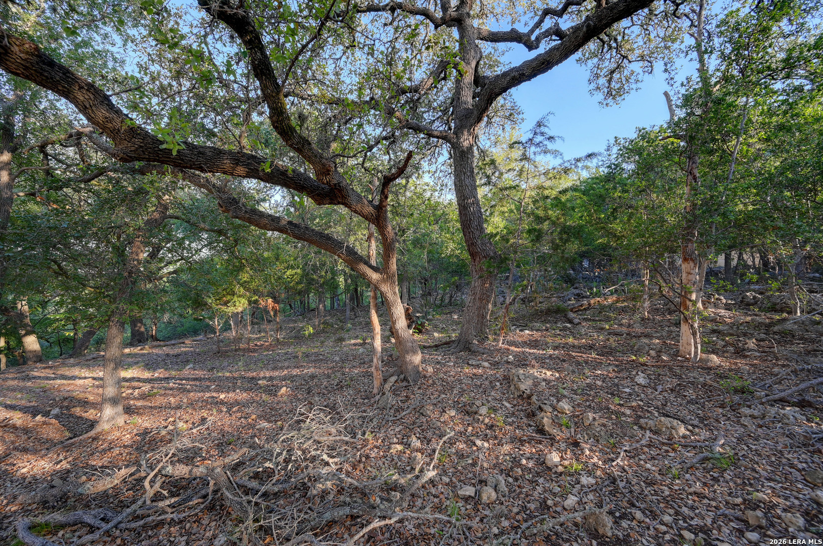 315 Rittimann Road Spring Branch, TX 78070 - Photo 29 of 51