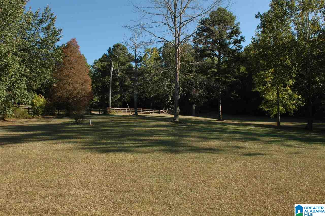 8335 Clayton Road Springville, AL 35146 - Photo 11 of 50
