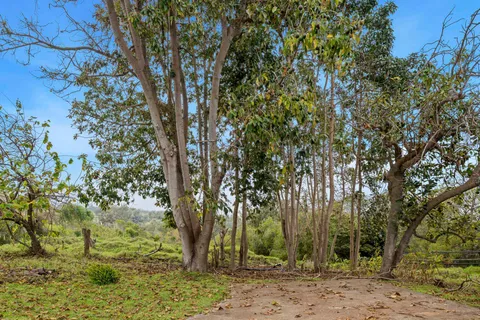 a view of outdoor space with trees