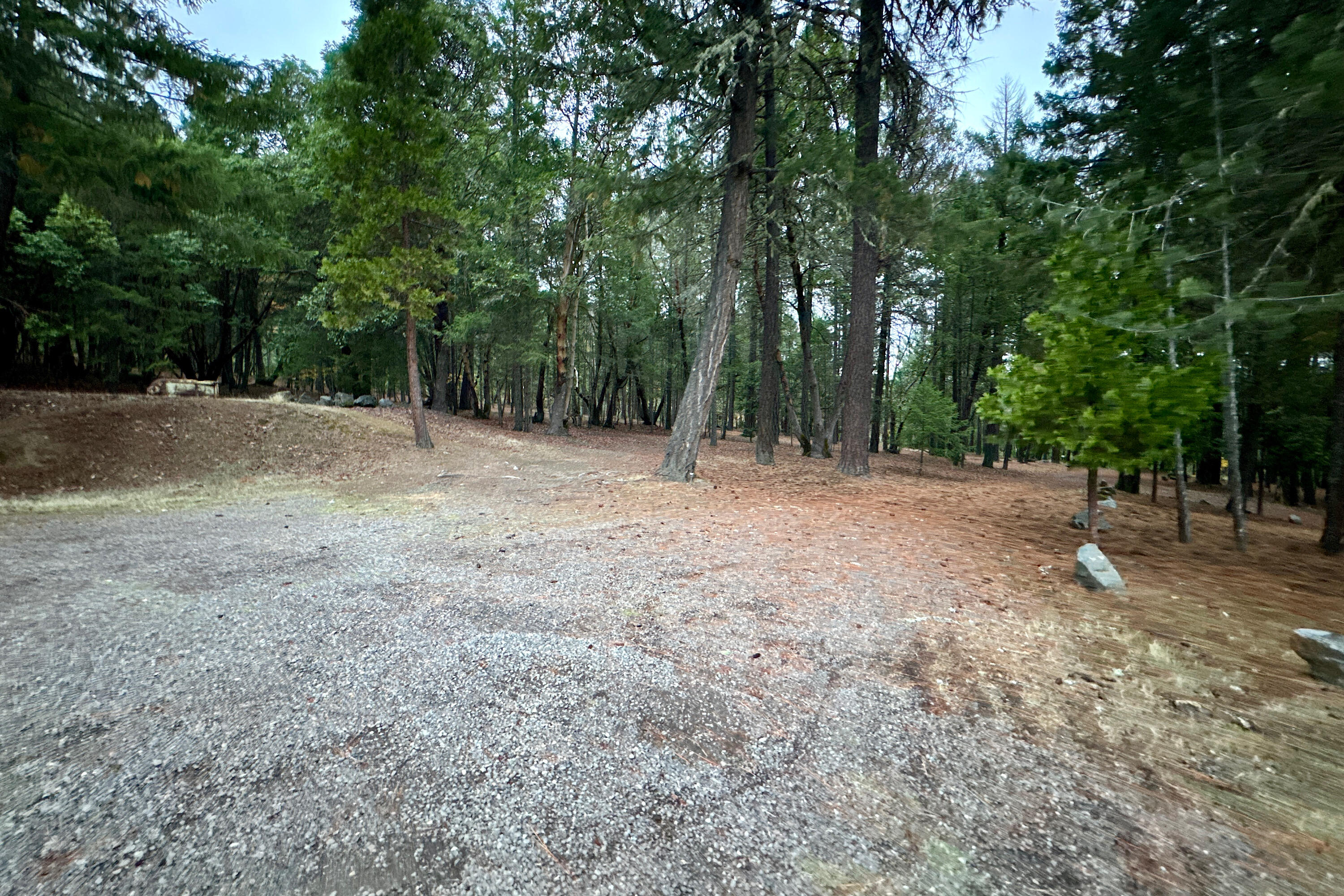 1969 Holcomb Springs Road Gold Hill, OR 97525 - Photo 42 of 46 IMG_0411