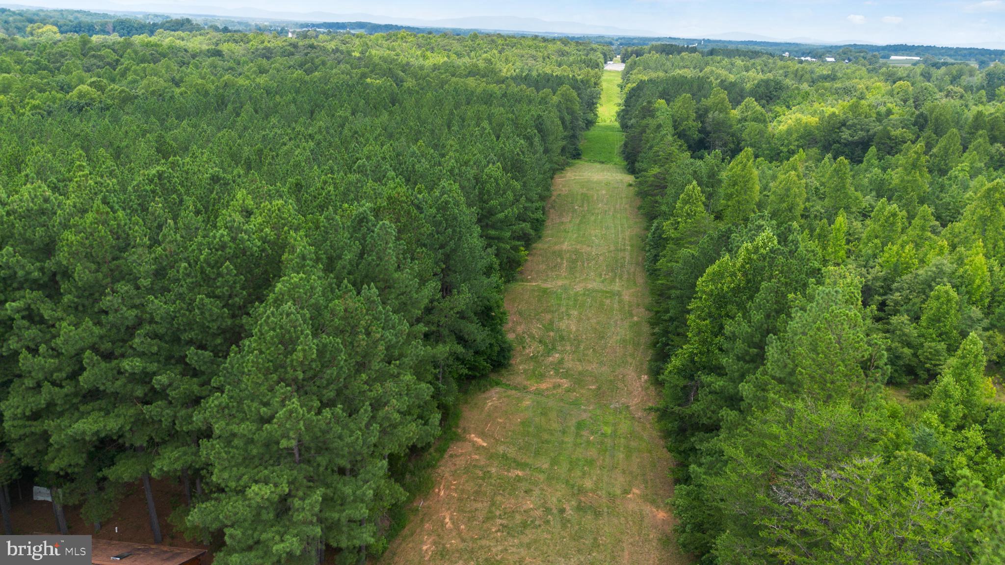 362 Dell Perkins Road Louisa, VA 23093 - Photo 18 of 92