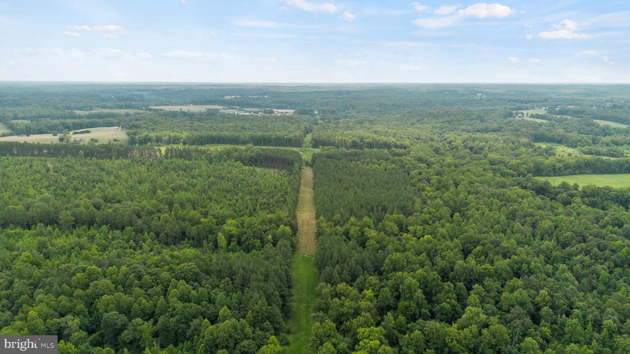 362 Dell Perkins Road Louisa, VA 23093 - Photo 20 of 92