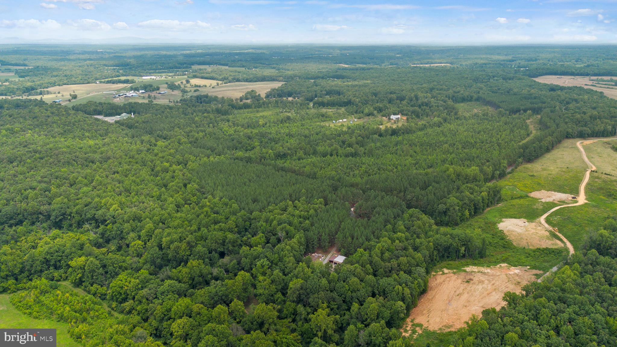 362 Dell Perkins Road Louisa, VA 23093 - Photo 21 of 92