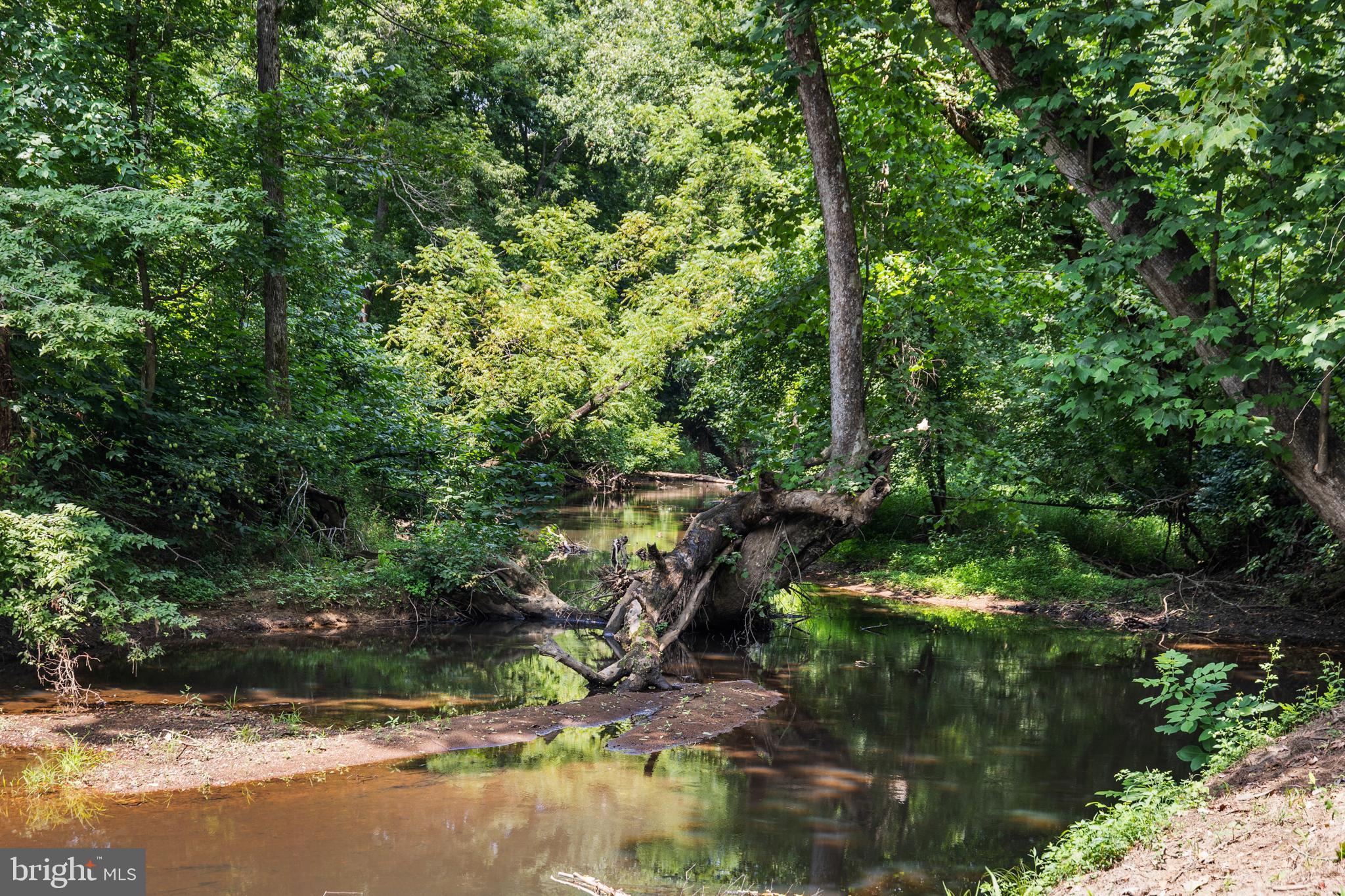 362 Dell Perkins Road Louisa, VA 23093 - Photo 24 of 92