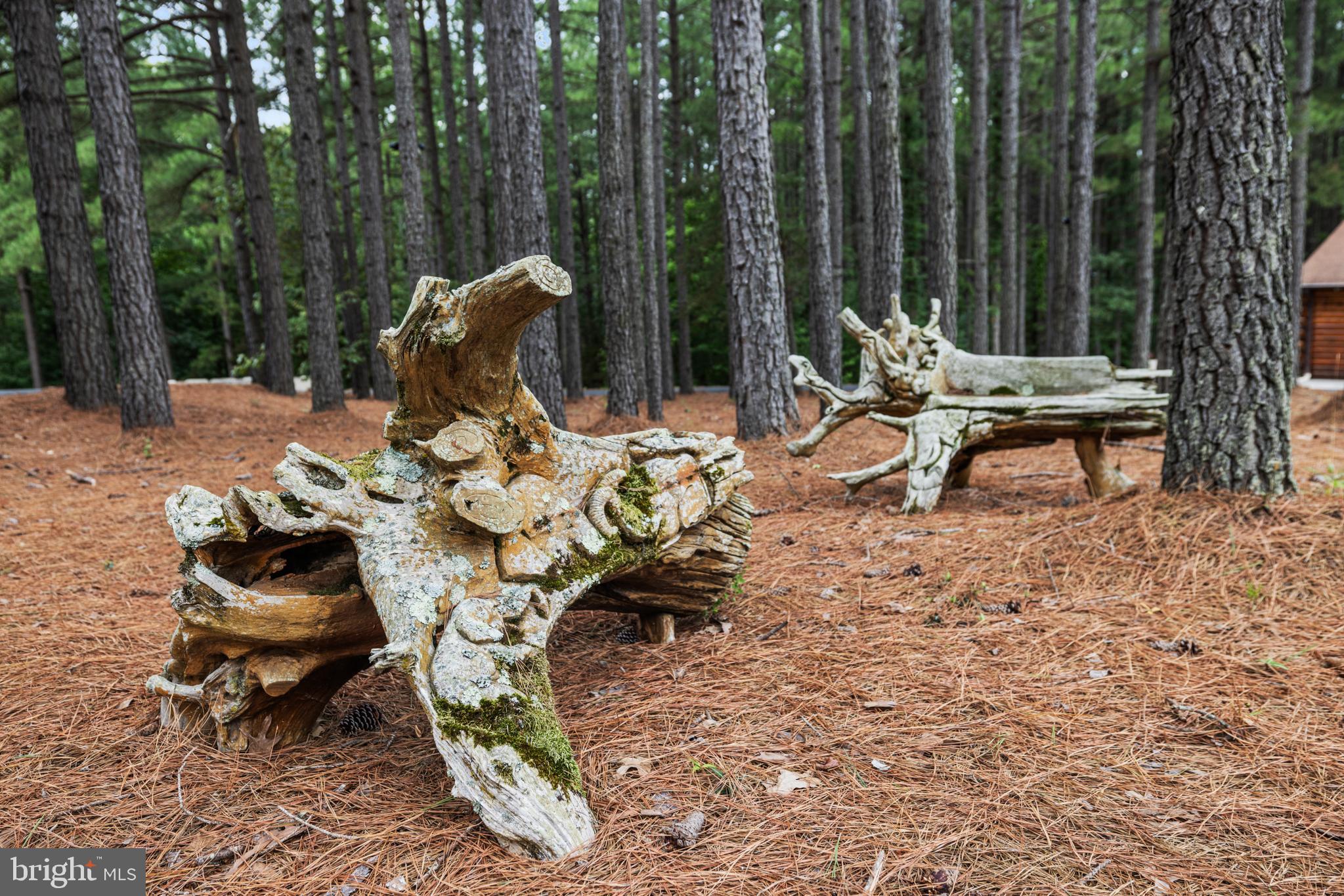 362 Dell Perkins Road Louisa, VA 23093 - Photo 28 of 92