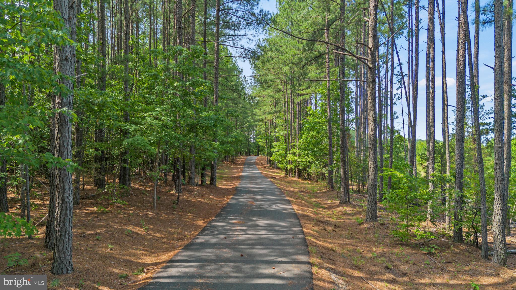 362 Dell Perkins Road Louisa, VA 23093 - Photo 6 of 92