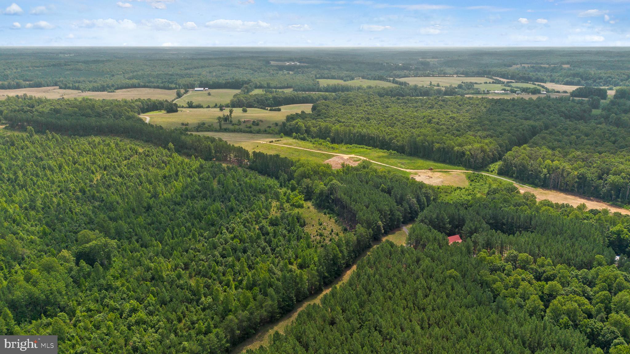 362 Dell Perkins Road Louisa, VA 23093 - Photo 78 of 92