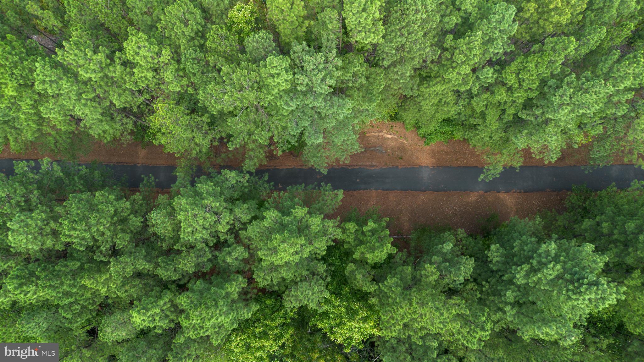 362 Dell Perkins Road Louisa, VA 23093 - Photo 81 of 92