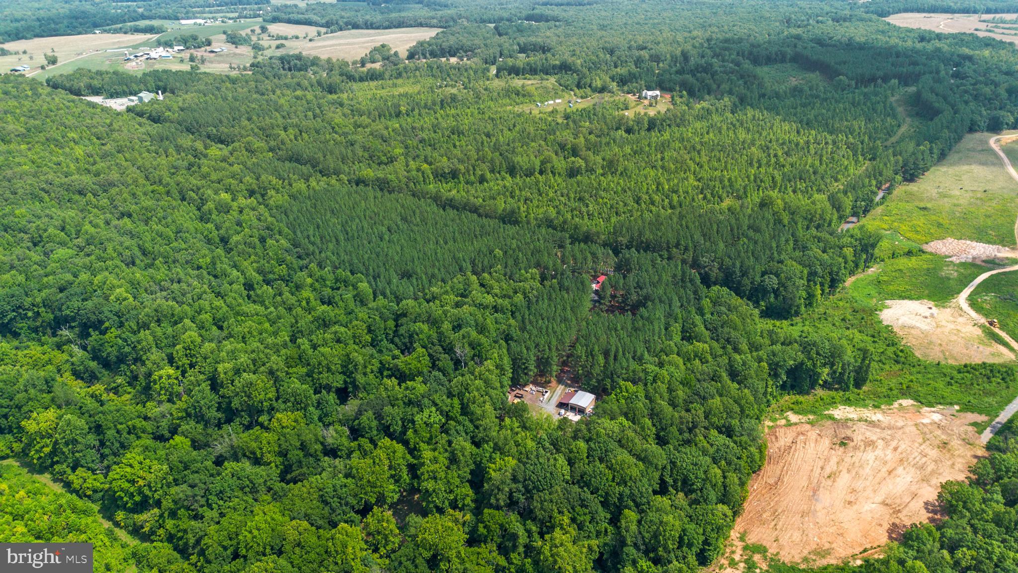 362 Dell Perkins Road Louisa, VA 23093 - Photo 82 of 92